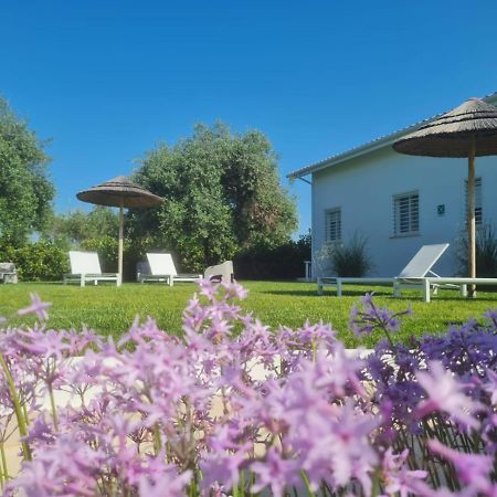La Maison - Boutique Rooms Sperlonga Kültér fotó
