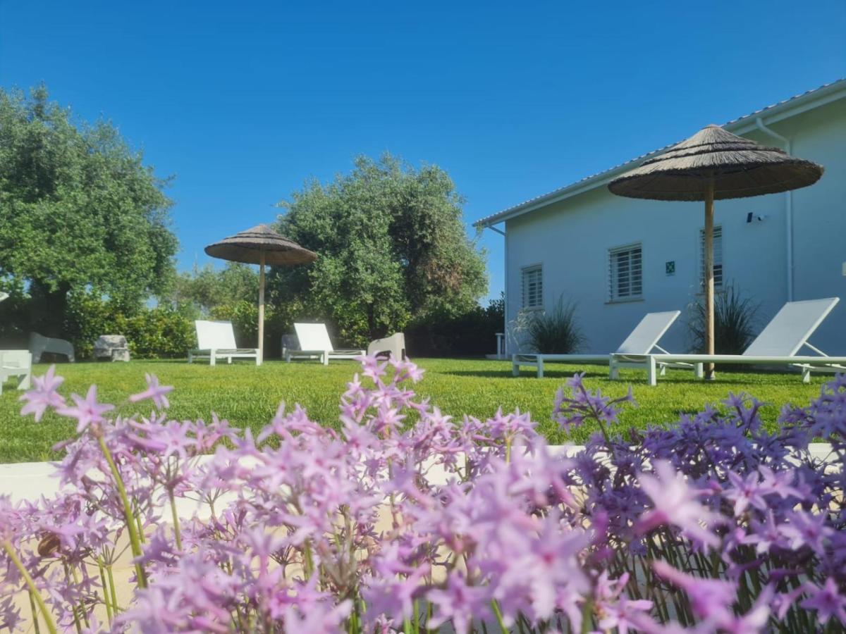 La Maison - Boutique Rooms Sperlonga Kültér fotó